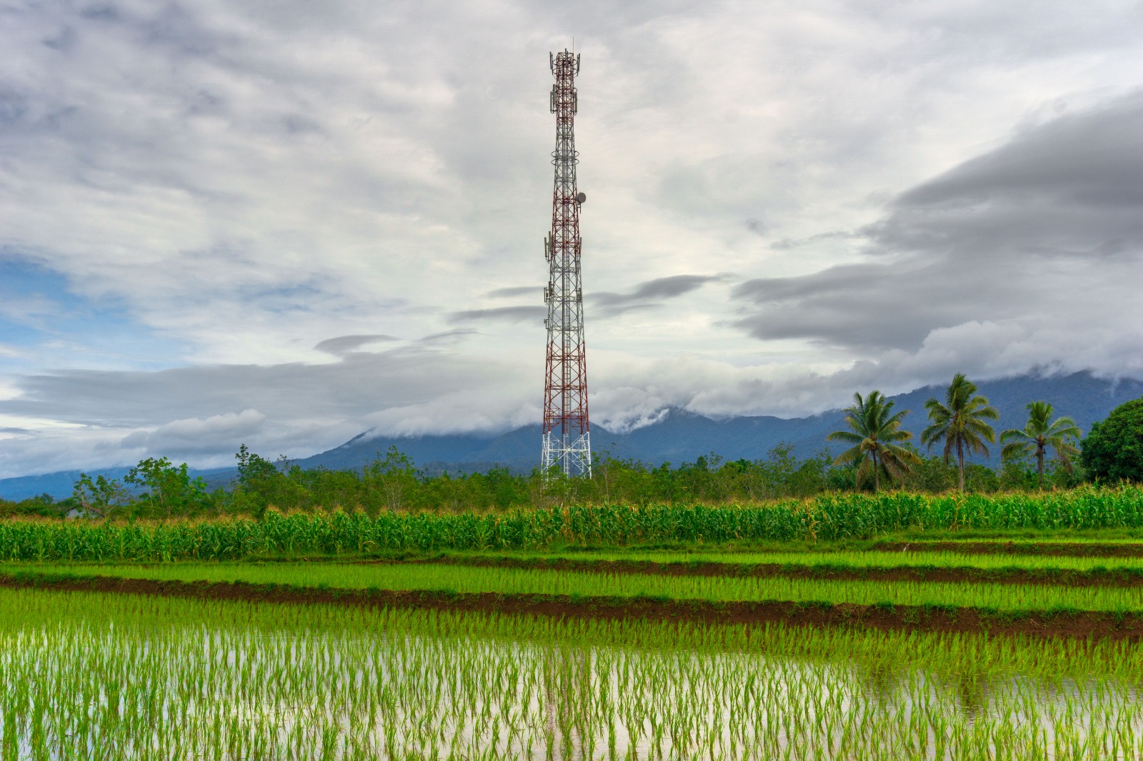 Indosat Otomatisasi Jaringan untuk Tingkatkan Kualitas Layanan