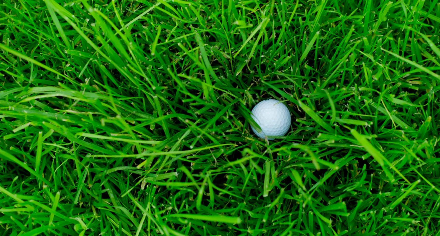 Cara Membaca Lie di Rough Golf Menurut Ahli Short Game Parker McLachlin